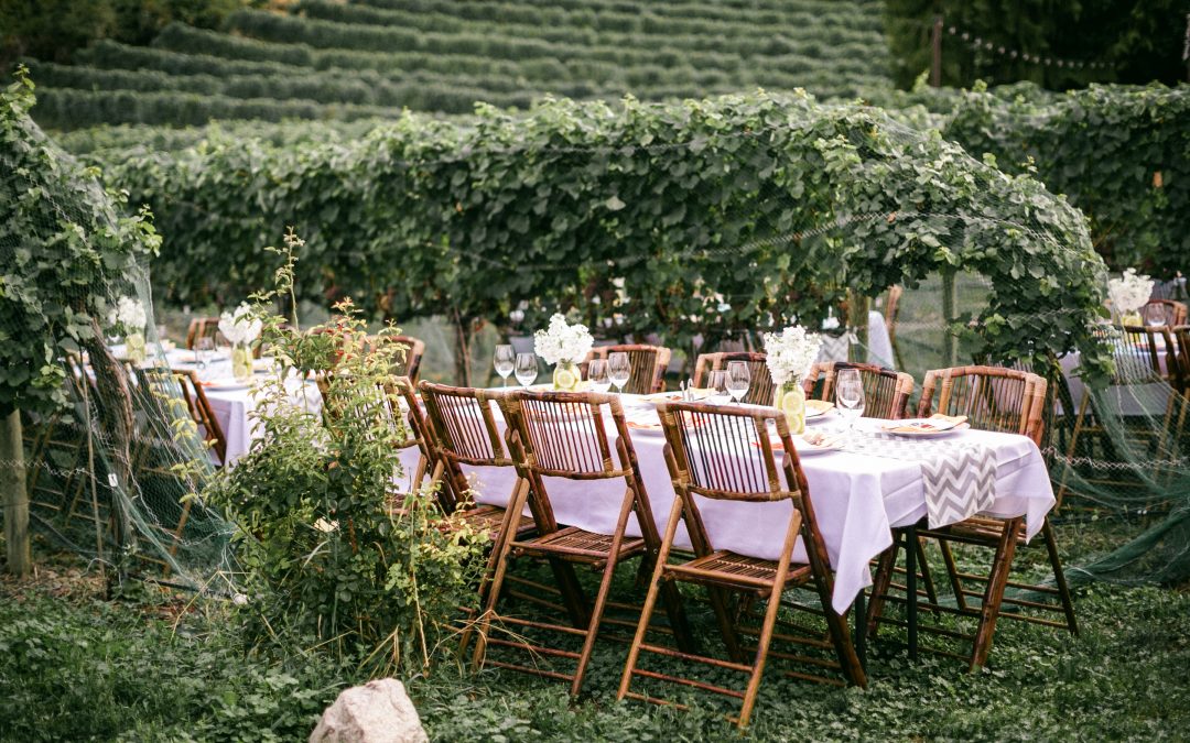 Réception mariage d'été dans un vignoble
