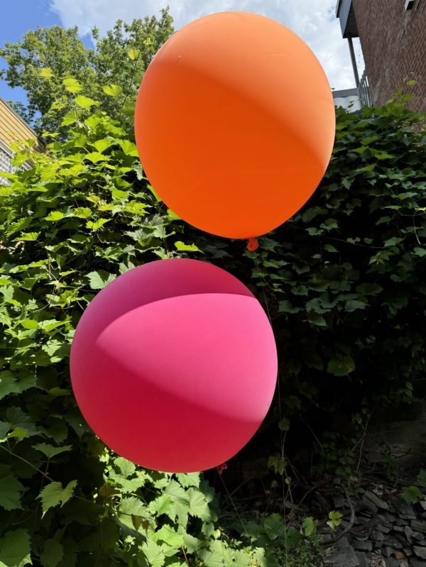 Ballons LUXE 24″ | Forfait pique-nique – Image 5