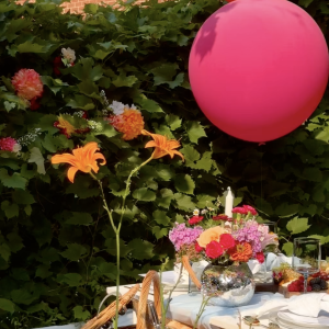 Ballons LUXE 24″ | Forfait pique-nique