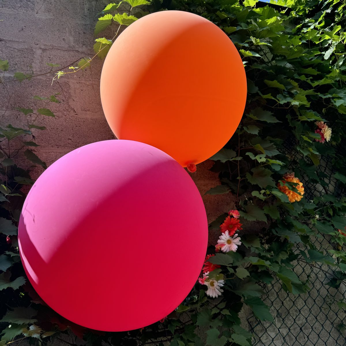 Ballons géants roses et oranges